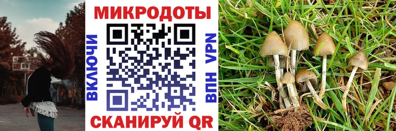 Галлюциногенные грибы MAGIC MUSHROOMS Купить Старая Русса