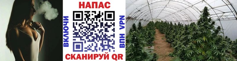 Канабис MAZAR Купить закладки Старая Русса
